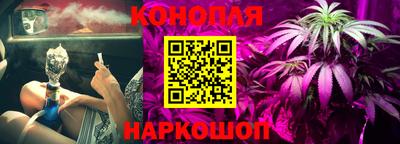 прущие грибы Анапа